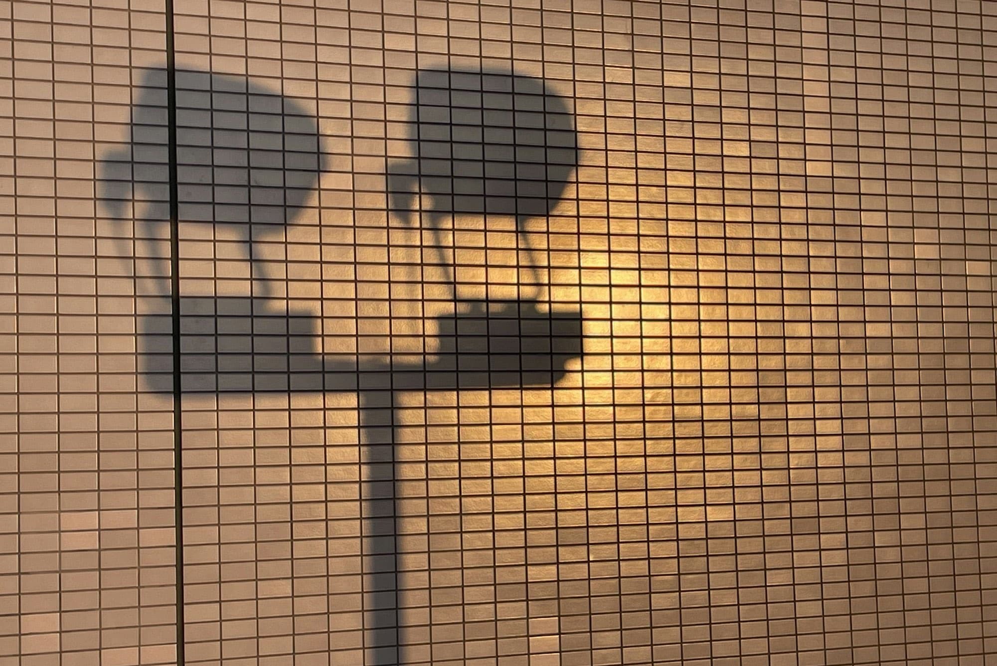 Evening light throwing the shadow of two lamps across a tiled wall