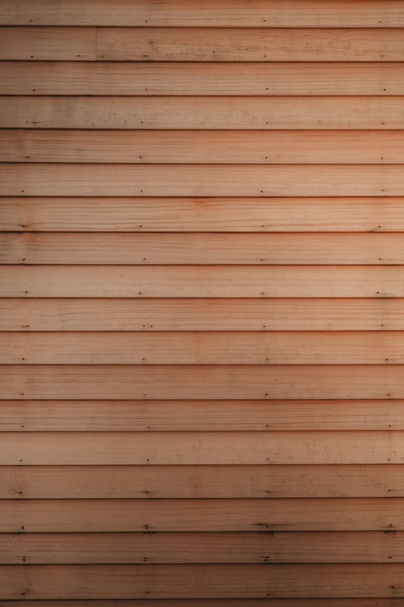A wall of fine timber slats in raking light