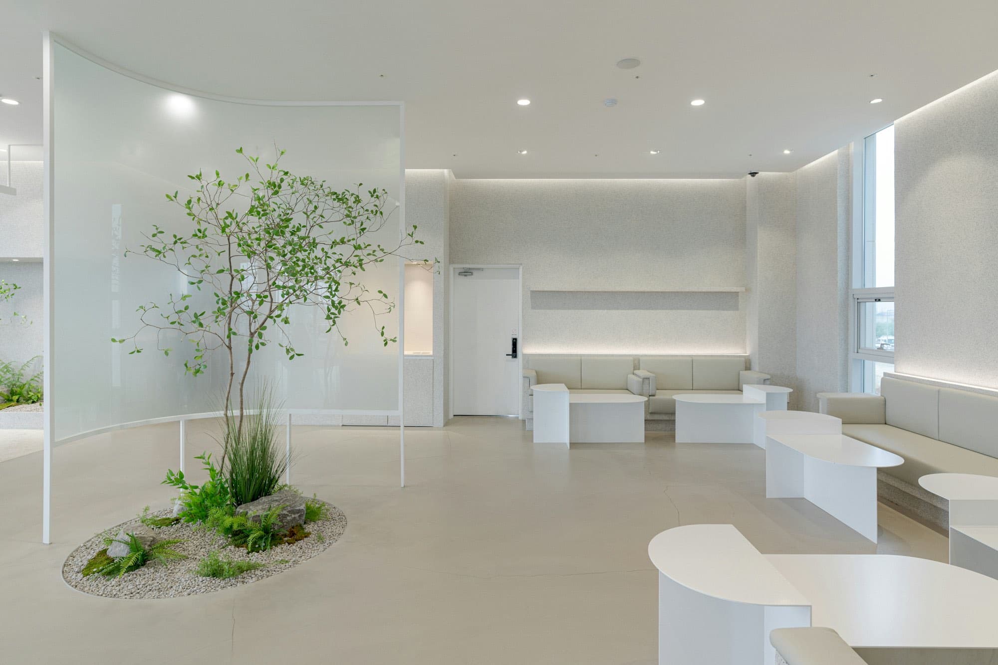 A bright white interior with a curved bench and a small tree